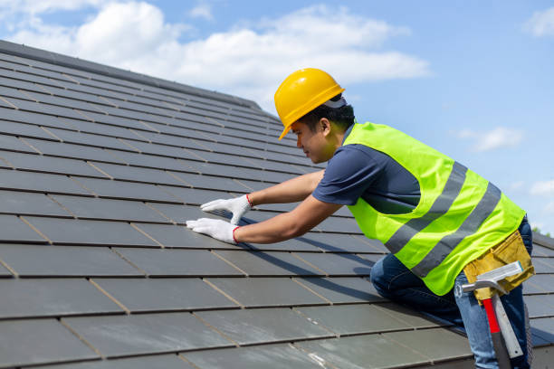Best Roof Moss and Algae Removal  in Gypsum, CO